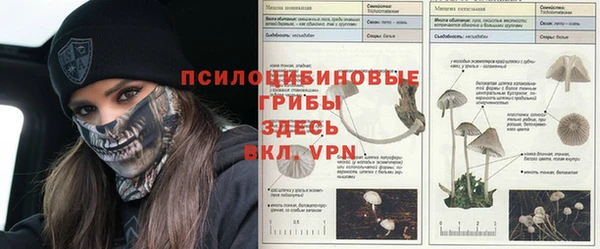 спайс Лиски